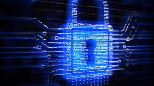 亮劍浦江 上海專項整治行動顯著提升醫療服務類互聯網企業數據安全與個人信息保護水平